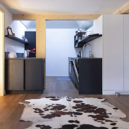 Baren Penthouse Appartement-fewo- Dusche- Wc 8-bettwohnung By Interhome * Zweisimmen